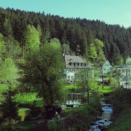Gut Lauterbad Hotel Фройденштадт Екстер'єр фото