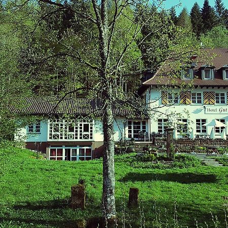 Gut Lauterbad Hotel Фройденштадт Екстер'єр фото