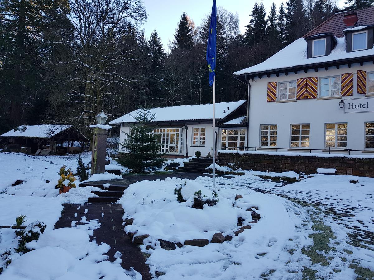 Gut Lauterbad Hotel Фройденштадт Екстер'єр фото
