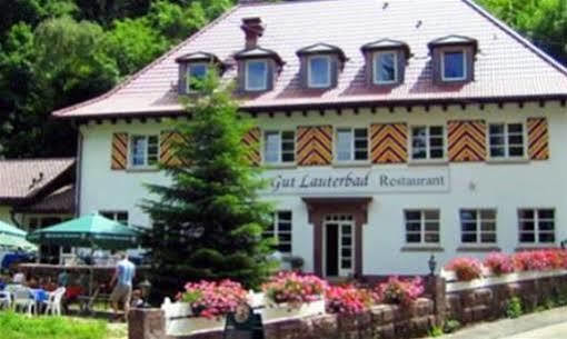Gut Lauterbad Hotel Фройденштадт Екстер'єр фото