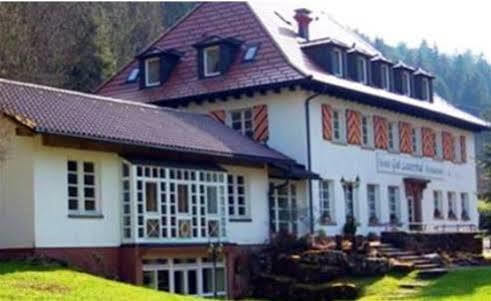 Gut Lauterbad Hotel Фройденштадт Екстер'єр фото