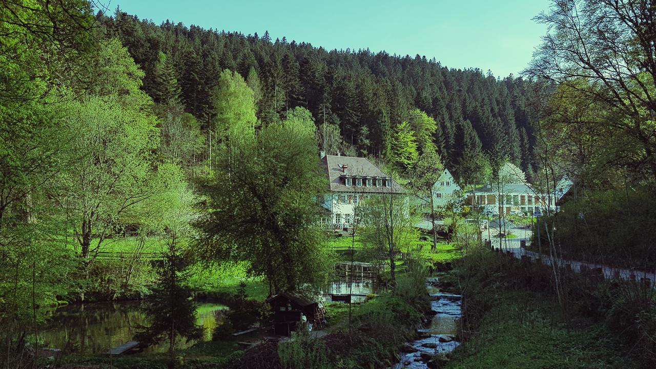 Gut Lauterbad Hotel Фройденштадт Екстер'єр фото