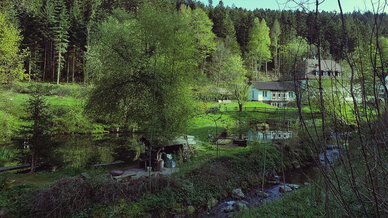 Gut Lauterbad Hotel Фройденштадт Екстер'єр фото